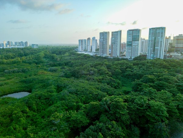 Solutions d'économie d'énergie : adoptez le solaire pour économiser !