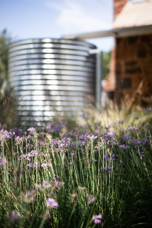 Découvrez les cuves de récupération d'eau adaptées à vos besoins